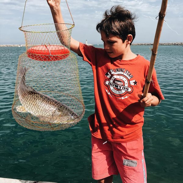 codree Floatable Galvanized Steel Wire Fish Basket, Collapsible Floatable Wire Fishing Basket, Portable Floating Fishing Net Baskets, Robust and Easy to Use - Image 6